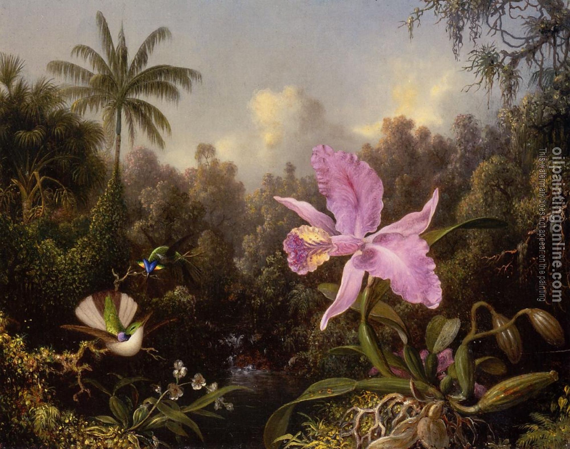 Heade, Martin Johnson - Orchid and Two Hummingbirds